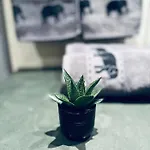 アパート Forest Nest - Your Place To Rest! ボロヴェッツ