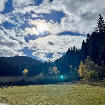 Forest Nest - Your Place To Rest! * 보로베츠