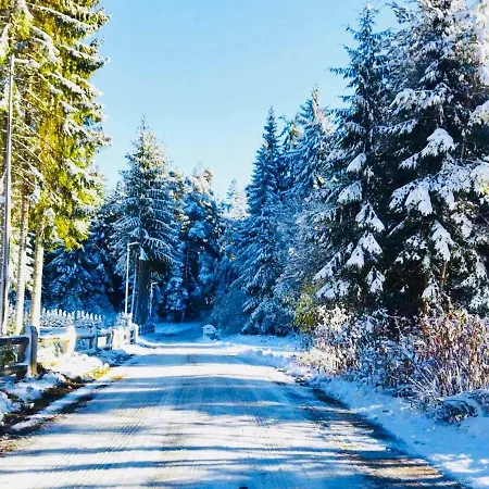 Forest Nest - Your Place To Rest! Apartman Borovec
