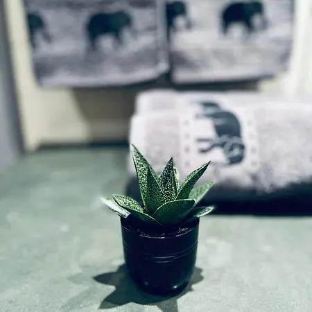 아파트 Forest Nest - Your Place To Rest! 보로베츠