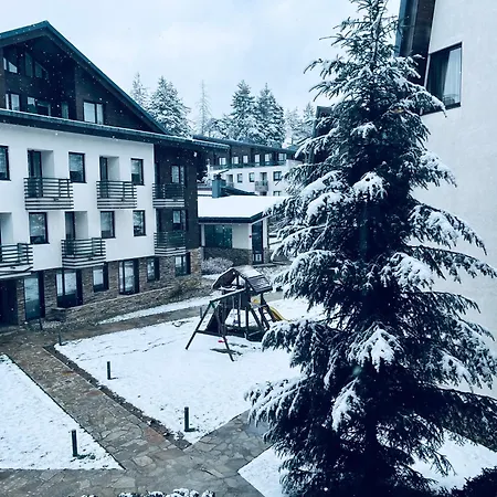 דירה Forest Nest - Your Place To Rest! *