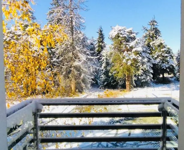 Forest Nest - Your Place To Rest! Borovets