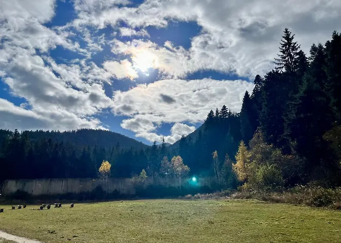 Forest Nest - Your Place To Rest! * Borowec