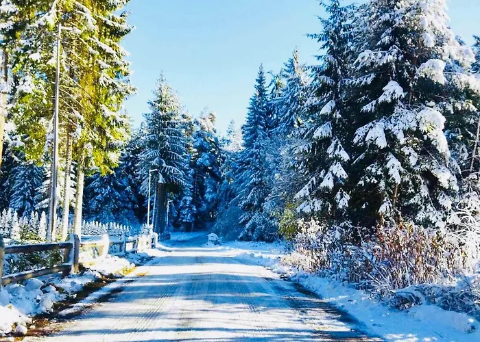 Forest Nest - Your Place To Rest! Appartamento Borovets