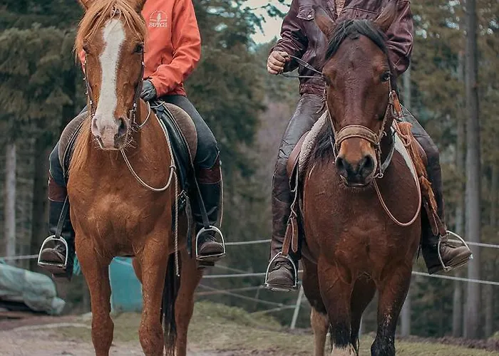 Forest Nest - Your Place To Rest! Appartamento *