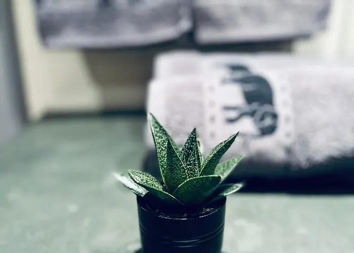 Apartament Forest Nest - Your Place To Rest! Borowec